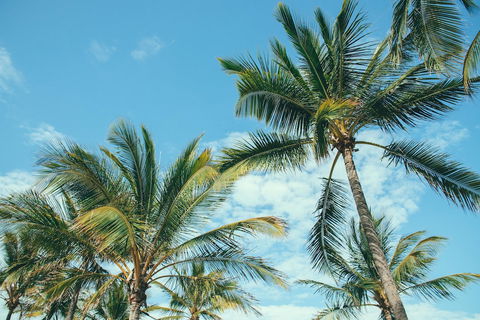Base Magnetic Island Hostel - Holiday Sunshine Coast 0