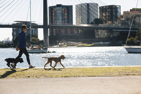 Haven Glebe - Sunshine Coast Tourism 0