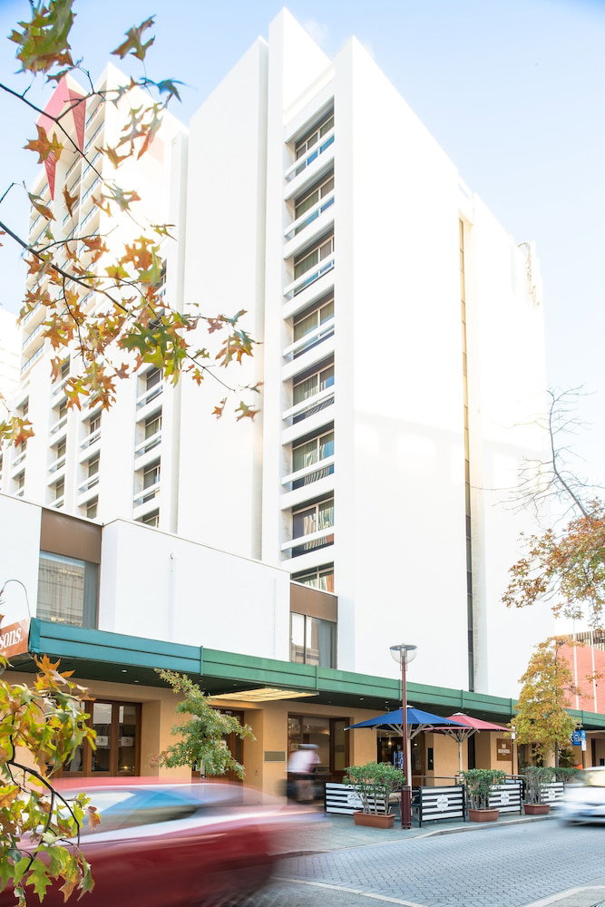 Hovea WA Sunshine Coast Tourism