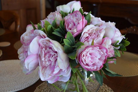 The Dragonfly Inn - Holiday Sunshine Coast 7