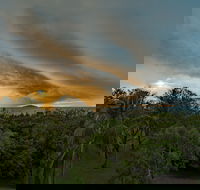 Ocean International - Holiday Sunshine Coast