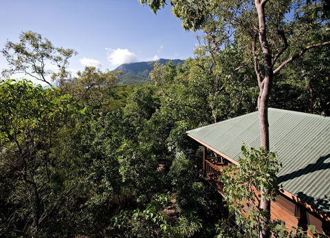 Thala Beach Nature Reserve - Holiday Sunshine Coast 0