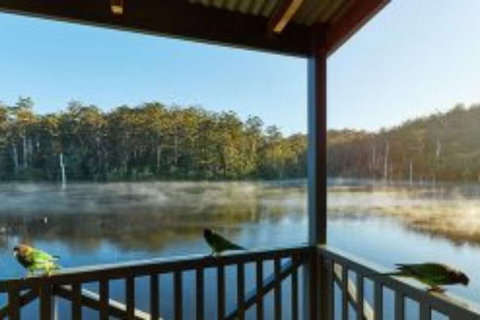 RAC Karri Valley Resort - Holiday Sunshine Coast 5