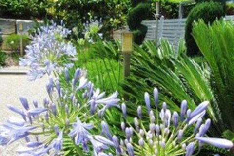 Highfields Motel Toowoomba - Holiday Sunshine Coast 5