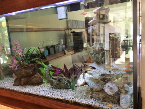 Hospitality Geraldton, SureStay Collection By Best Western - Holiday Sunshine Coast 6