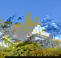 Tangalooma Island Resort - Sunshine Coast Tourism