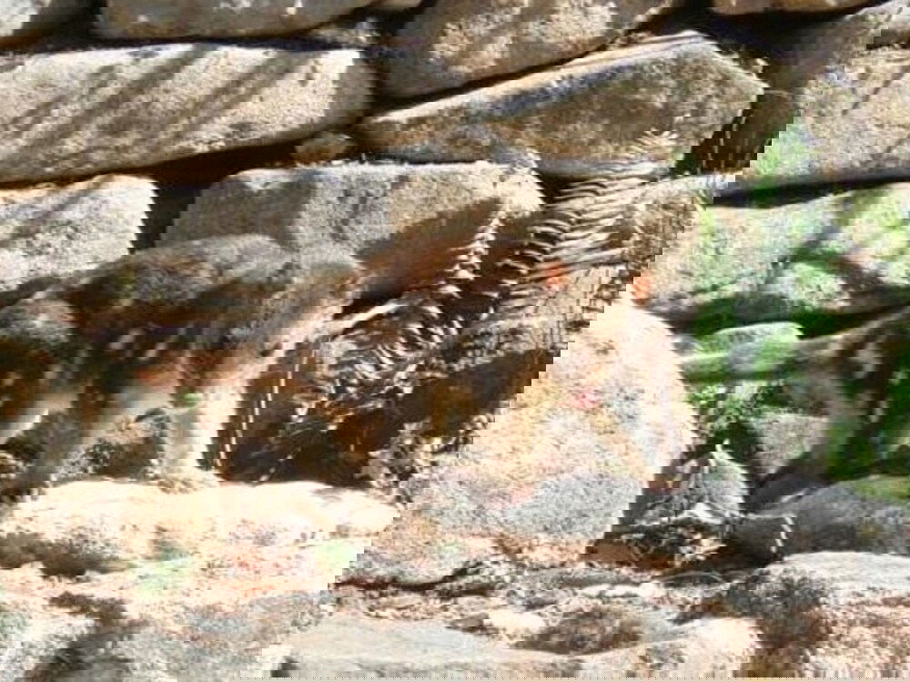  Sunshine Coast Tourism