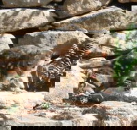 Jenolan Caves House - Sunshine Coast Tourism