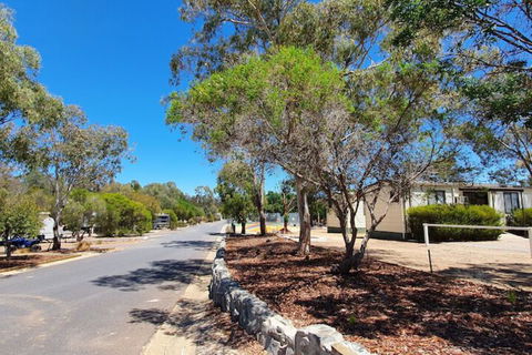 Capital Country Holiday Park - Holiday Sunshine Coast 3