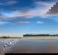 Discovery Parks - Harrington - Sunshine Coast Tourism