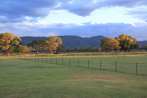 Radiance On Lyra - Holiday Sunshine Coast 1