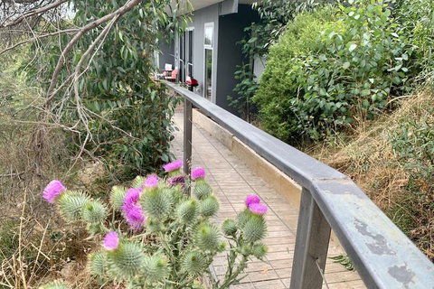 Sunrise On Falie - Holiday Sunshine Coast 7