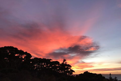 Sunrise On Falie - Holiday Sunshine Coast 2