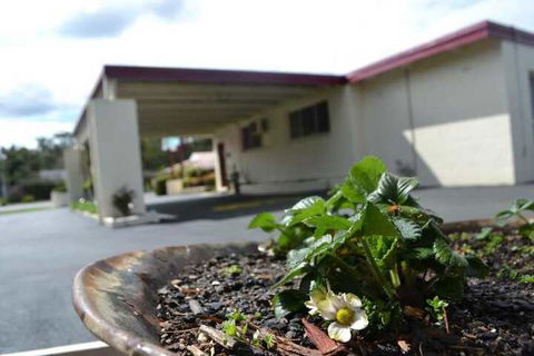 Wattle Motel - Sunshine Coast Tourism 2