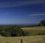 Otway Junction Motor Inn