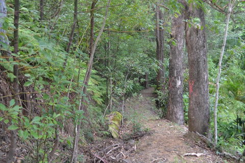 Turmeric Gardens - Holiday Sunshine Coast 5