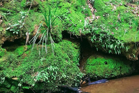 Stokers Lodge - Holiday Sunshine Coast 5