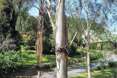 Stokers Lodge - Holiday Sunshine Coast 1