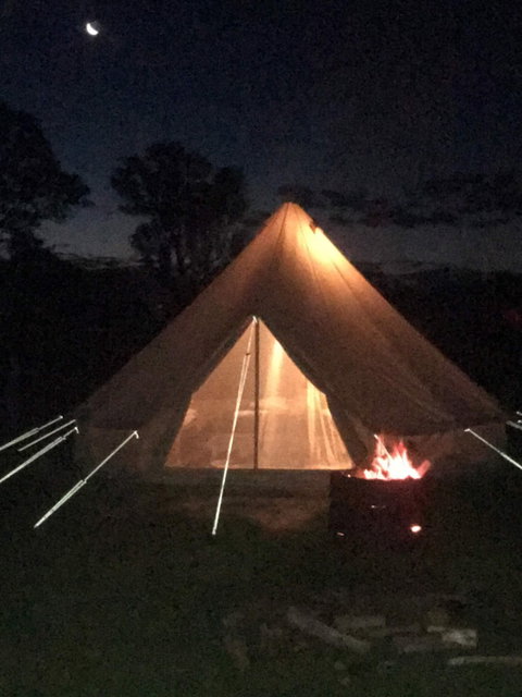 Coonawarra Bush Holiday Park - Holiday Sunshine Coast 1