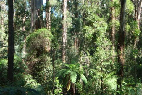 SIGNAL BOX Short Stay - Sunshine Coast Tourism 3
