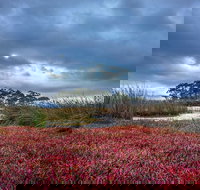 Saintys Creek Cottage - Holiday Sunshine Coast