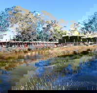 Victoria Lake Holiday Park - Holiday Sunshine Coast