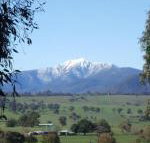 Off Mountain Accommodation - Holiday Sunshine Coast