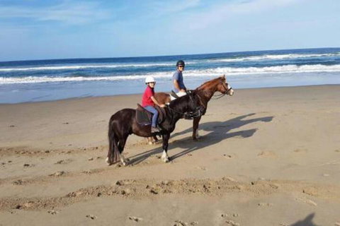 Nautica - Holiday Sunshine Coast 1