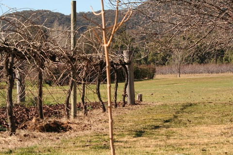 The Farmhouse At Blue Wren Wines - Holiday Sunshine Coast 3