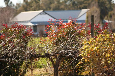 The Farmhouse At Blue Wren Wines - Holiday Sunshine Coast 2