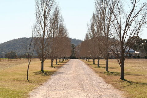 The Farmhouse At Blue Wren Wines - Holiday Sunshine Coast 4