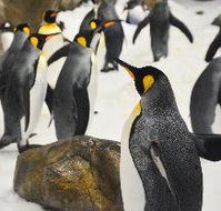 Comfort Hotel Elizabeth Tower - Holiday Sunshine Coast