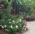 Maldons Eaglehawk Motel - Holiday Sunshine Coast