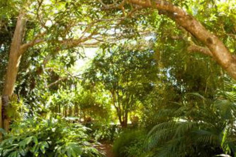 Taman Sari Private Pavilions - Holiday Sunshine Coast 3