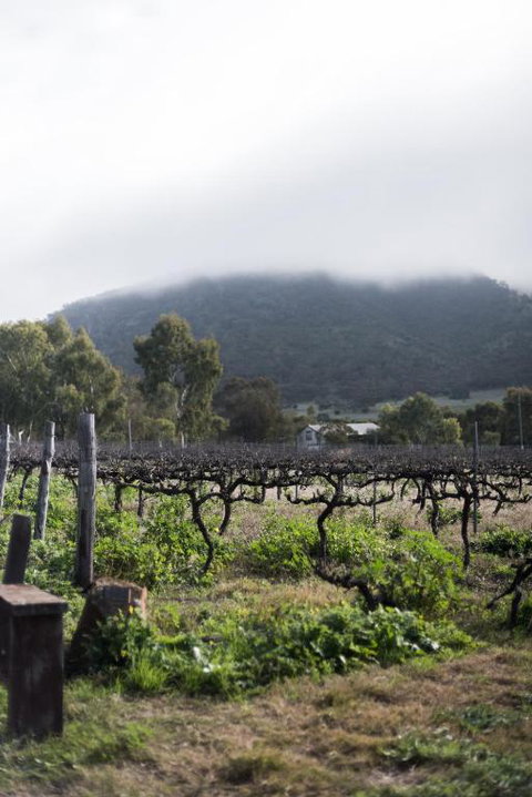 Hope Farm Guesthouse - Holiday Sunshine Coast 2