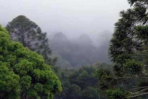 Bunya Mountains Accommodation Centre - Holiday Sunshine Coast 3