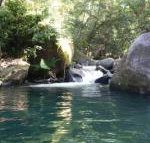 Daintree Secrets Rainforest Sanctuary - Sunshine Coast Tourism