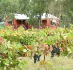 Fergies Hill Spa Cottage at Granite Ridge Wines - Holiday Sunshine Coast