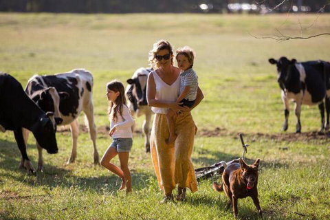 Redgate Forest Retreat - Holiday Sunshine Coast 4