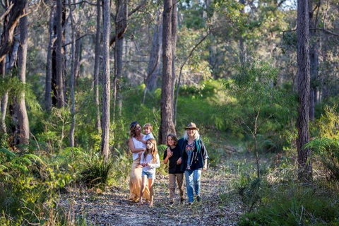 Redgate Forest Retreat - Holiday Sunshine Coast 2