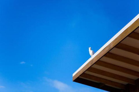 Wye Not Escape - Sunshine Coast Tourism 6