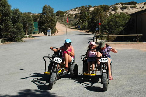 Ceduna Shelly Beach Caravan Park - Sunshine Coast Tourism 4