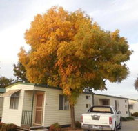 Wodonga Caravan  Cabin Park - Holiday Sunshine Coast