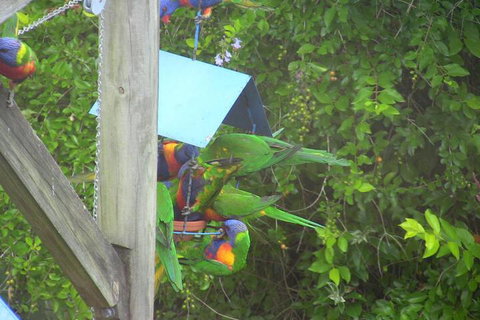 A Lakehouse Escape - Holiday Sunshine Coast 4