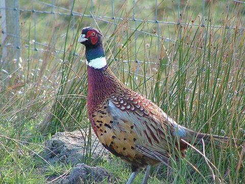 Baudins Accommodation - Sunshine Coast Tourism 6