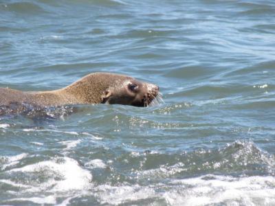 Baudins Accommodation - Sunshine Coast Tourism 5