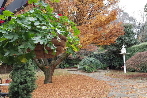 Villa DAmour - Holiday Sunshine Coast 2