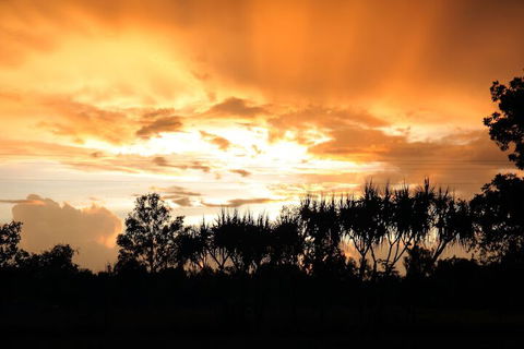 Berry Creek Bush Retreat - Sunshine Coast Tourism 3