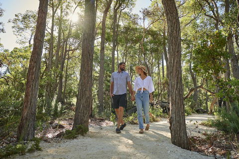Eight Willows Retreat - Holiday Sunshine Coast 5