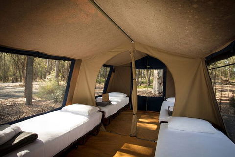 Paradise Country Farmstay - Holiday Sunshine Coast 6